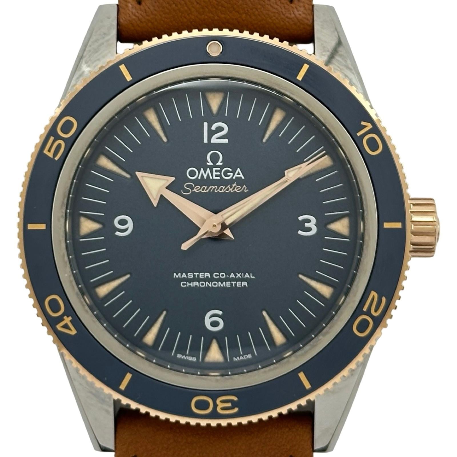 Omega Seamaster 300 233.62.41.21.03.001