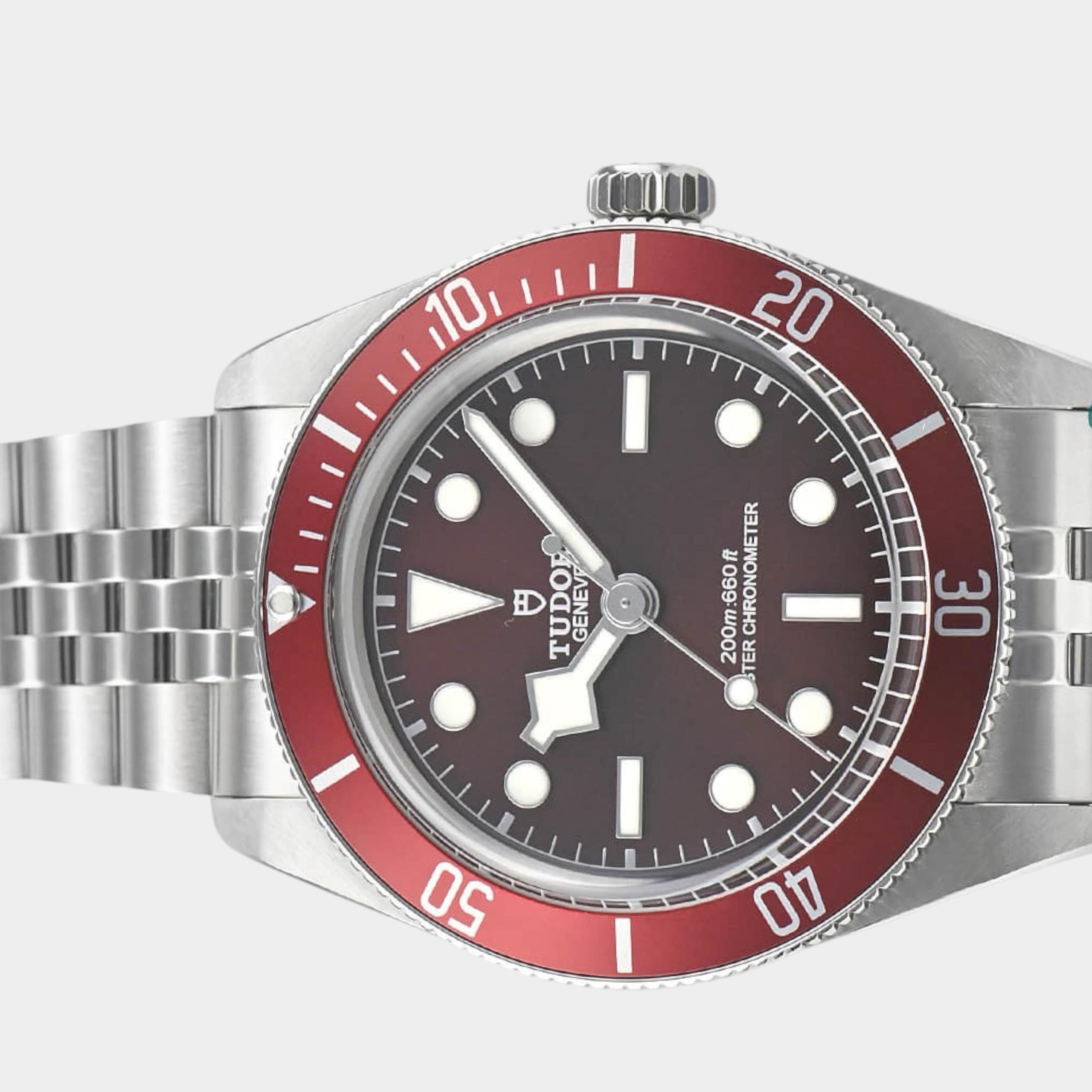 Tudor Black Bay