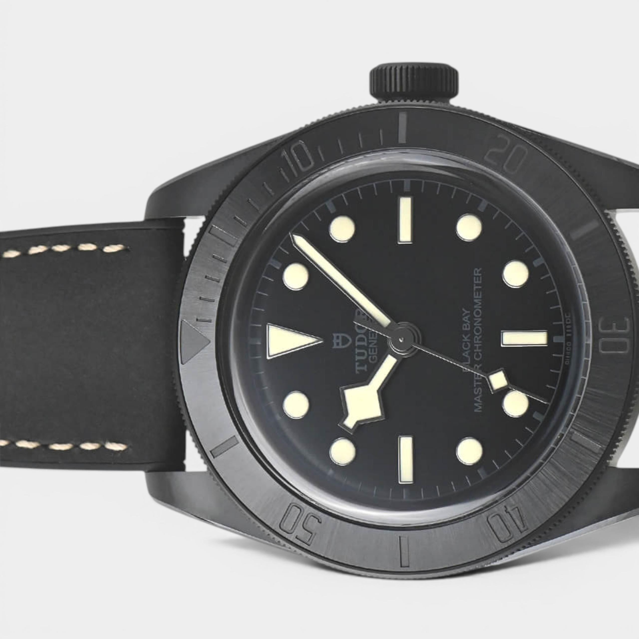 Tudor Black Bay M79210CNU-0001
