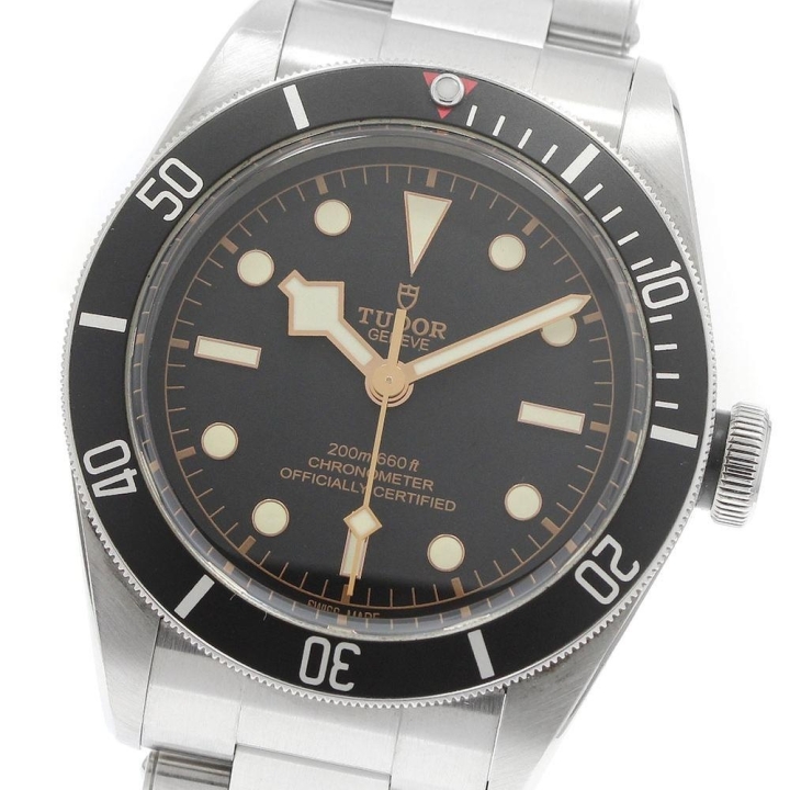 Tudor Black Bay