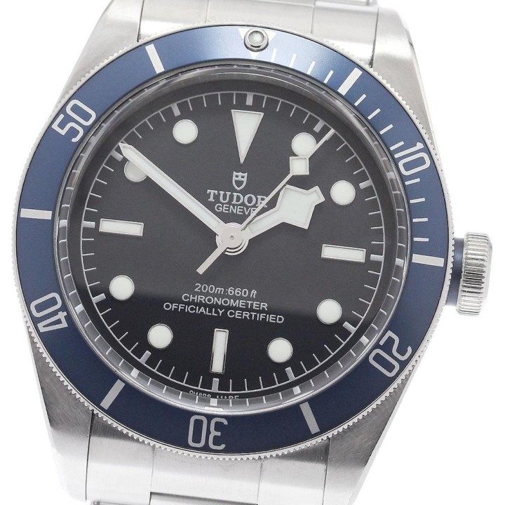 Tudor Black Bay