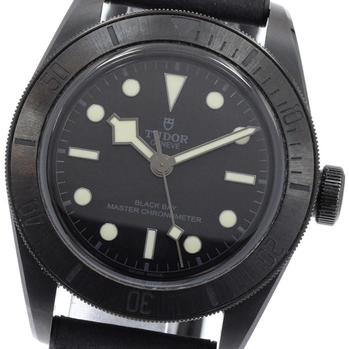 Tudor Black Bay