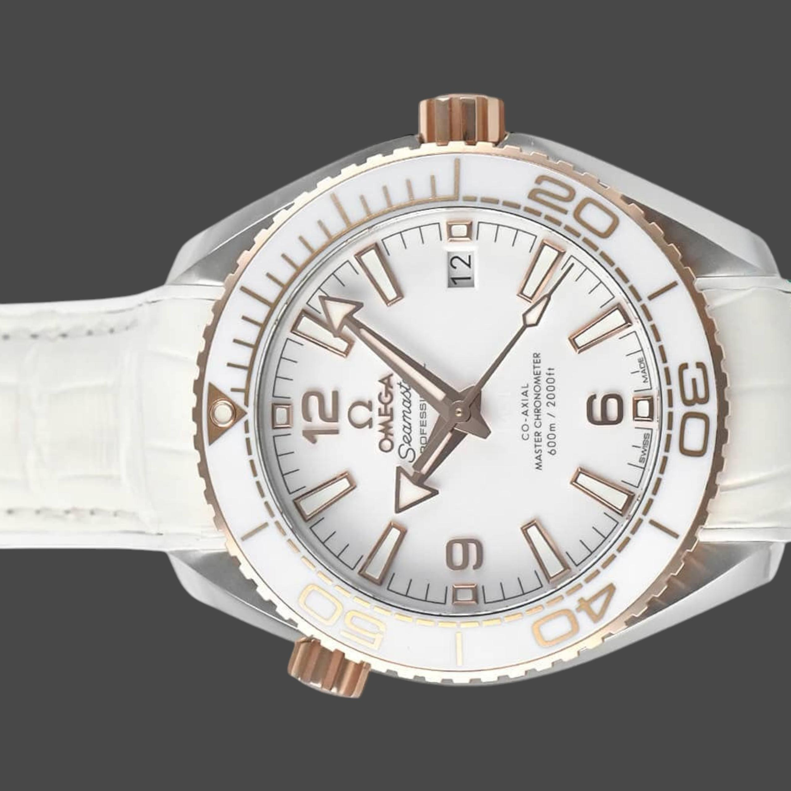 Omega Seamaster Planet Ocean