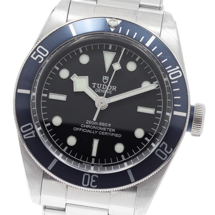 Tudor Black Bay