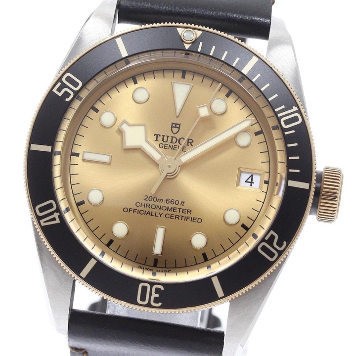 Tudor Black Bay