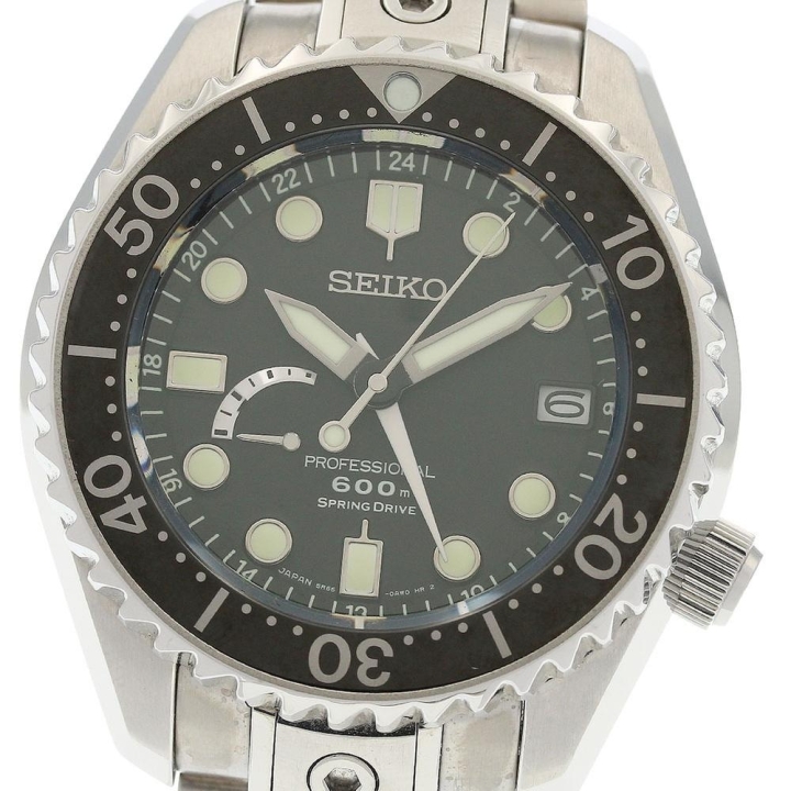 Seiko Marinemaster